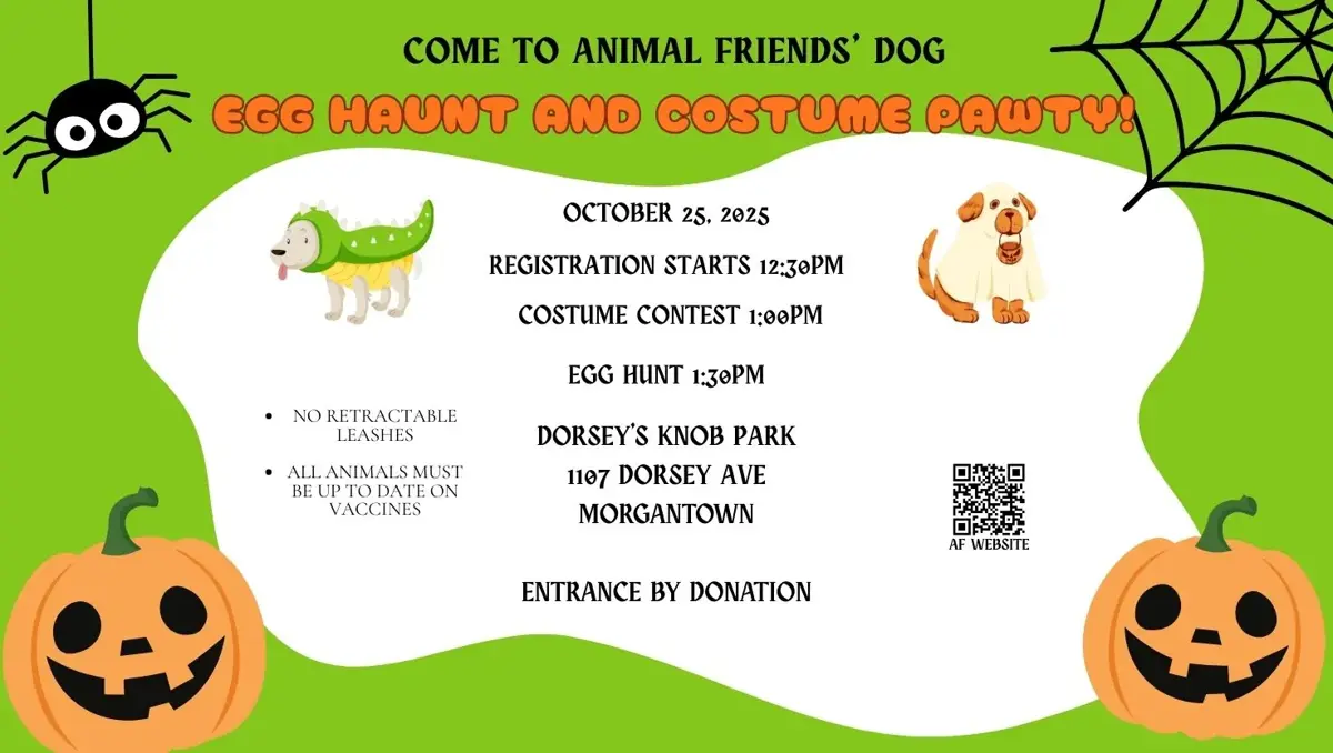 Animal Friends Thrift Shoppe in Morgantown, WV