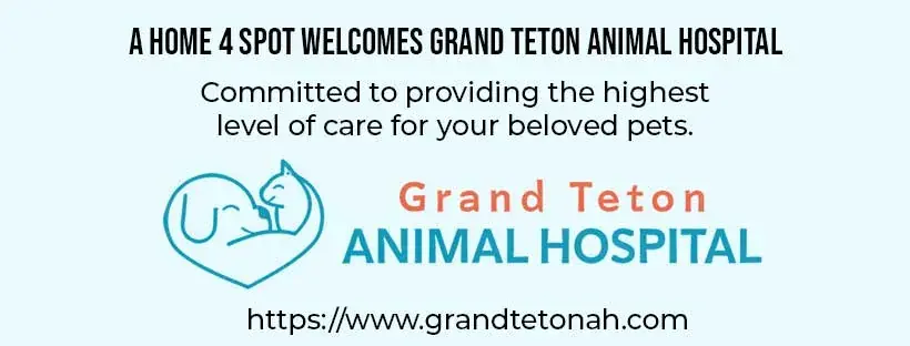 Dog Junkies Thrift Store in Las Vegas, NV