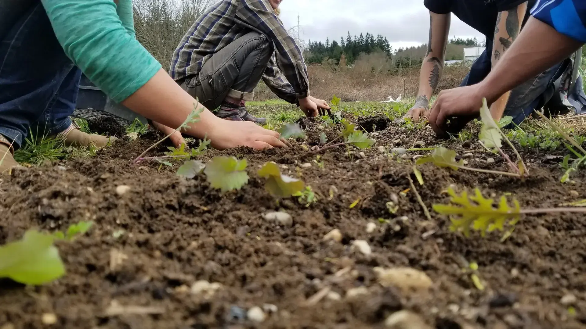 Good Cheer Clinton Thrift Store in Clinton, WA