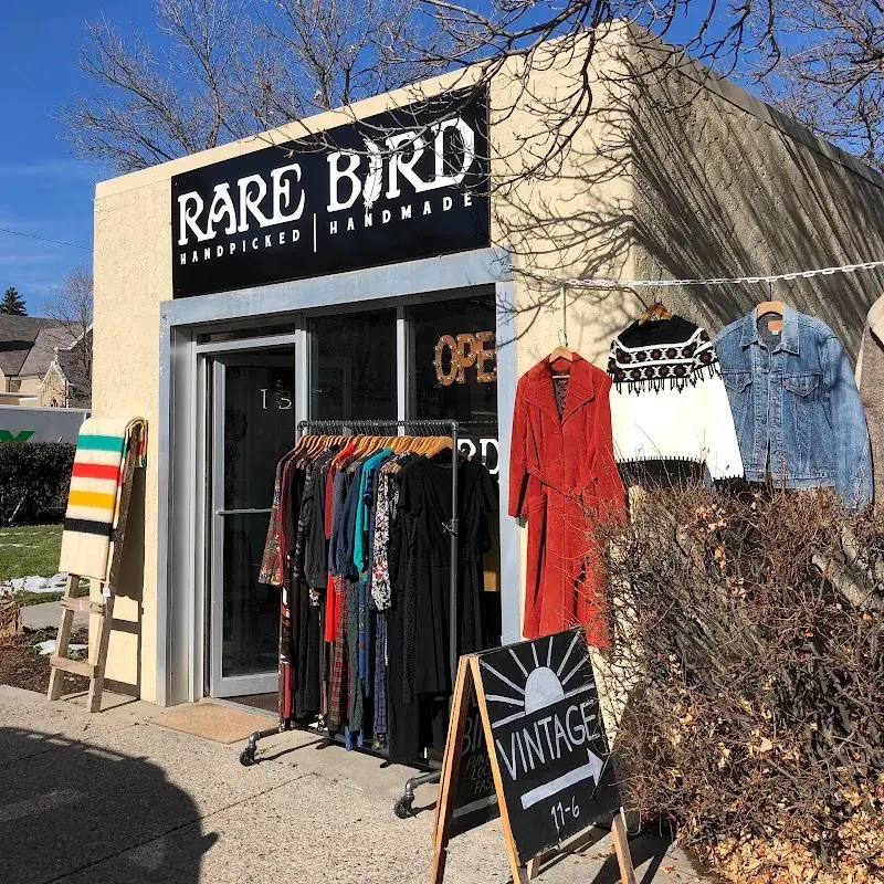Rare Bird Vintage in Bozeman, MT