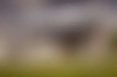 Samaritan Bargains & Bins in Springdale, AR