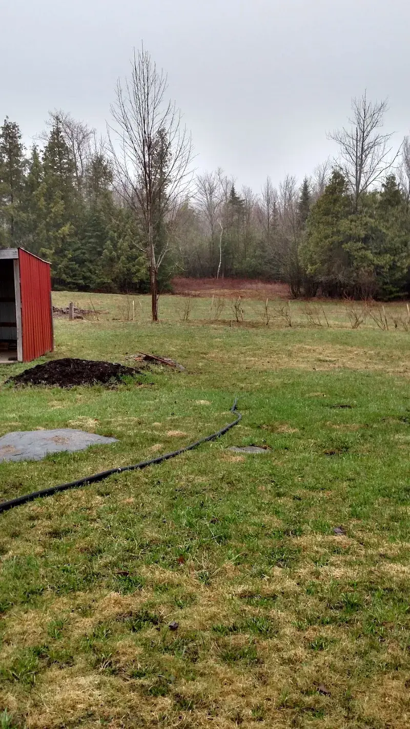 St Augustine's Thrift Shop in Dover-Foxcroft, ME