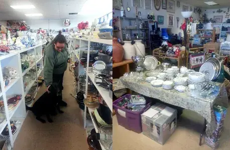 St. Paws Thrift Store in Colorado Springs, CO