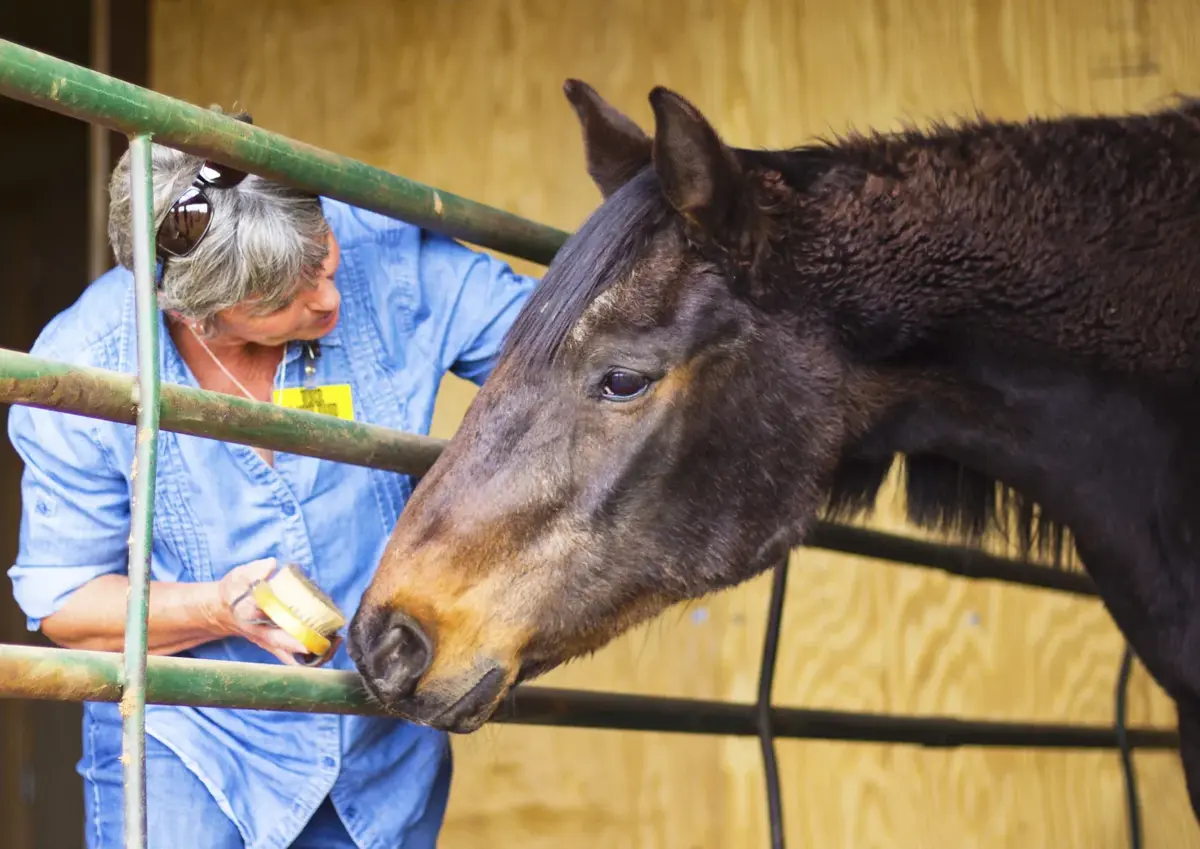 Walkin N Circles Ranch Thrift Store in Edgewood, NM